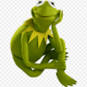 Meet your Posher, Dominic